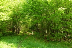 Granica polsko-słowacka.