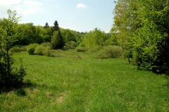 Przełęcz Kuchtowska.