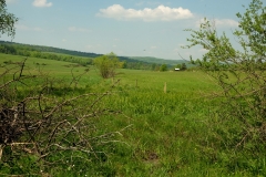Widok z Kuchtovskego Sedla na polską stronę.