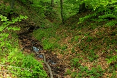DSCF5579