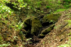 DSCF5581