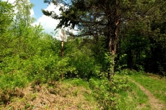 Okolice przłęczy Beskid nad Ożenną.