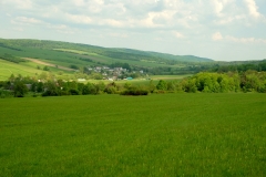 Widok na Ożenną w dolinie górnego Ryjaka.