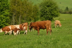 DSCF5757
