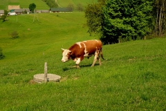 DSCF5760
