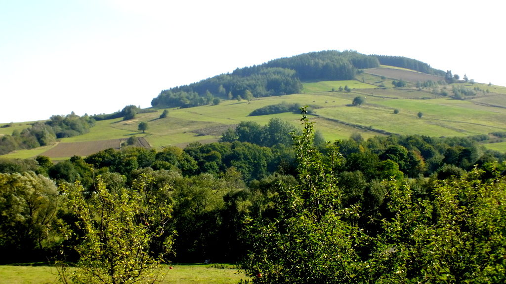 góra porośnięta modrzewiami.