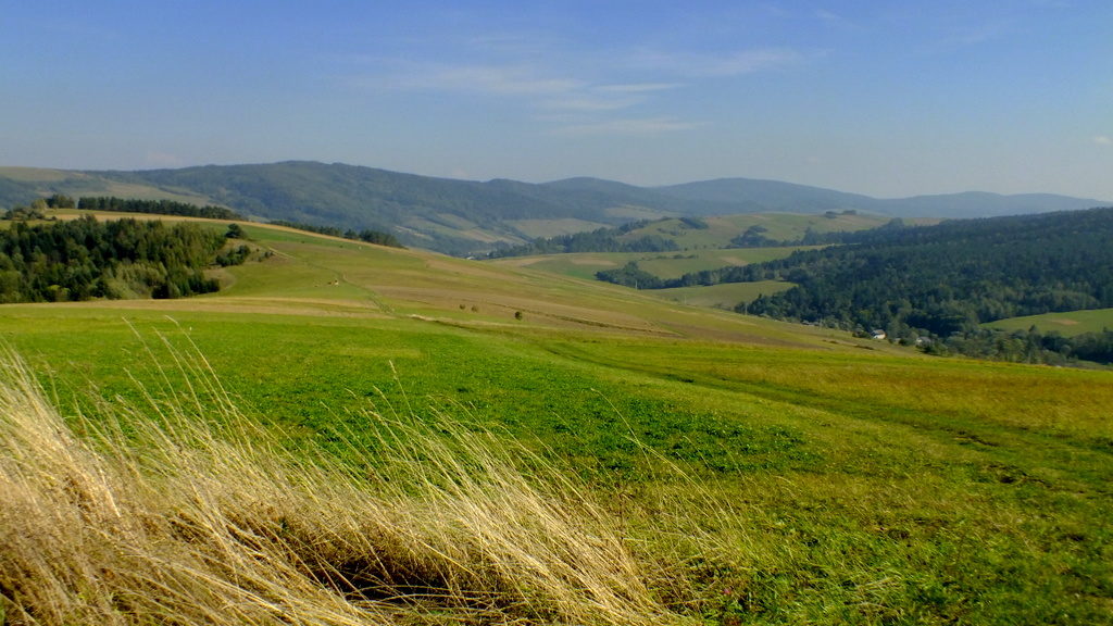 Widok na pasmo Łysej Góry z Polaną i Danią.