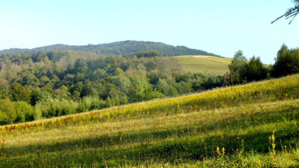 Widok na Łysą Górę z zejścia z Grzywackiej.