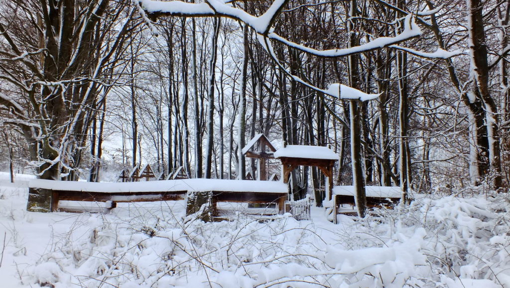 Czarne - cmentarz nr 53.