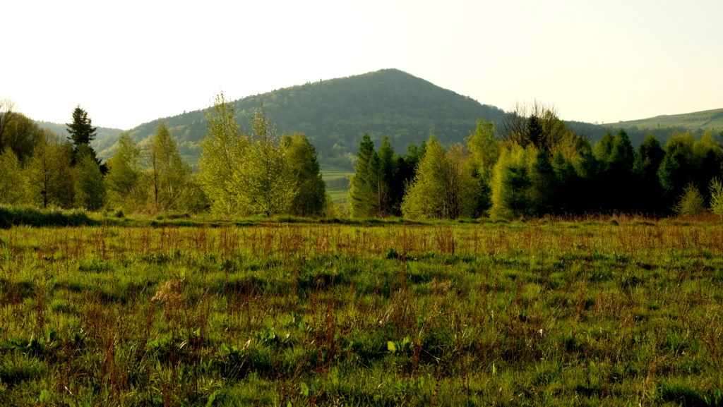Chełm (528 m n.p.m.) Widok z podejścia na wzgórza nad Stępiną.