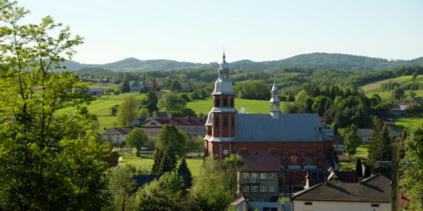 Widok na Ołpiny z kościołem p.w. Wniebowzięcia NMP zbudowanym z cegły w latach 1925-1933 w miejscu spalonego w 1915 r., drewnianego powstałego w 1349r. W tle wzniesienia Pasma Brzanki.