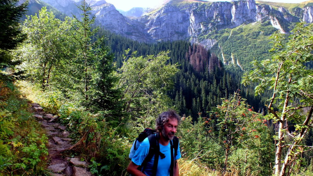 Ścieżka na Rówień Miętusią - Tatry