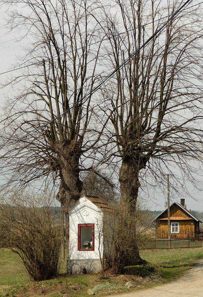 Osobnica. Kapliczka z 1919 r.