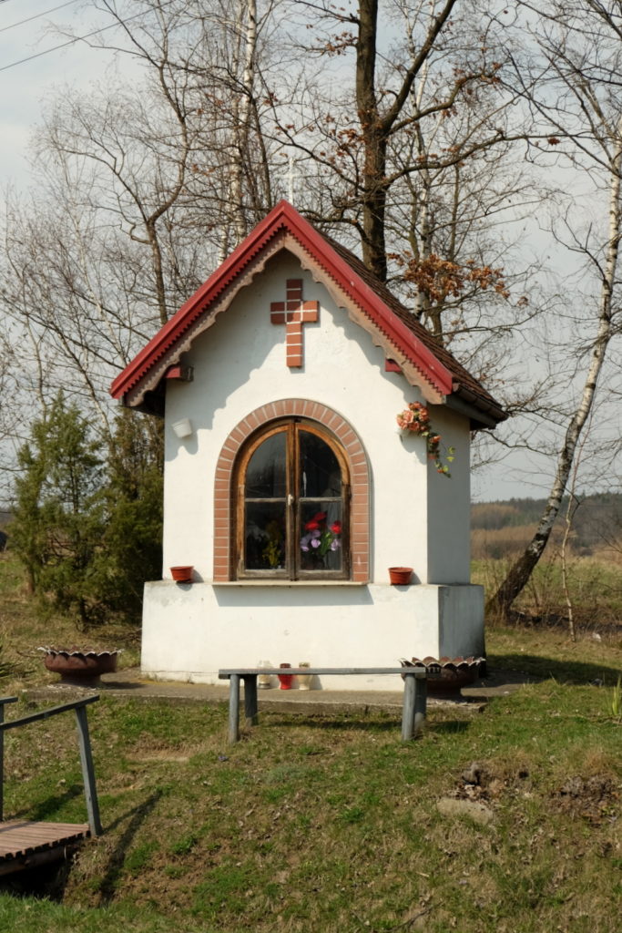 Wiekowa kapliczka pod białą topolą w Osobnicy Górnej