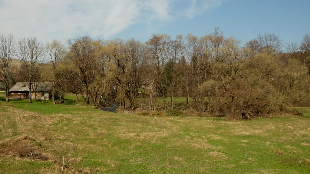 Wiekowa chyża i meander potoku Bednarka w Bednarce (wsi).