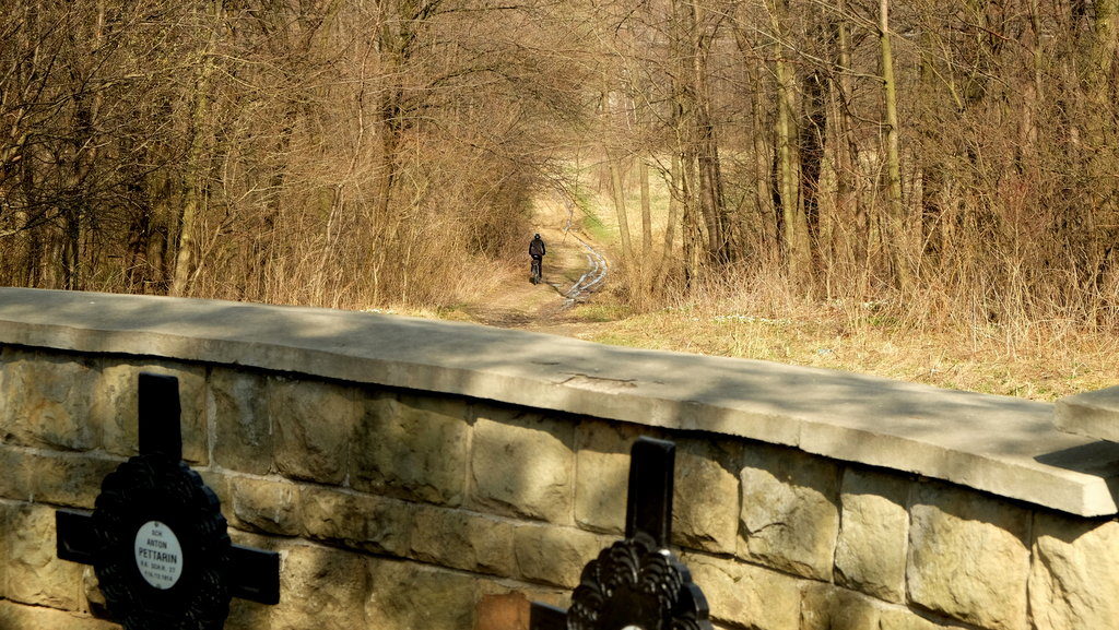Miejsce, gdzie znajdował się mały zbiornik wodny, jednak z biegiem czasu w sposób naturalny uległ wypłyceniu i zarósł lasem.