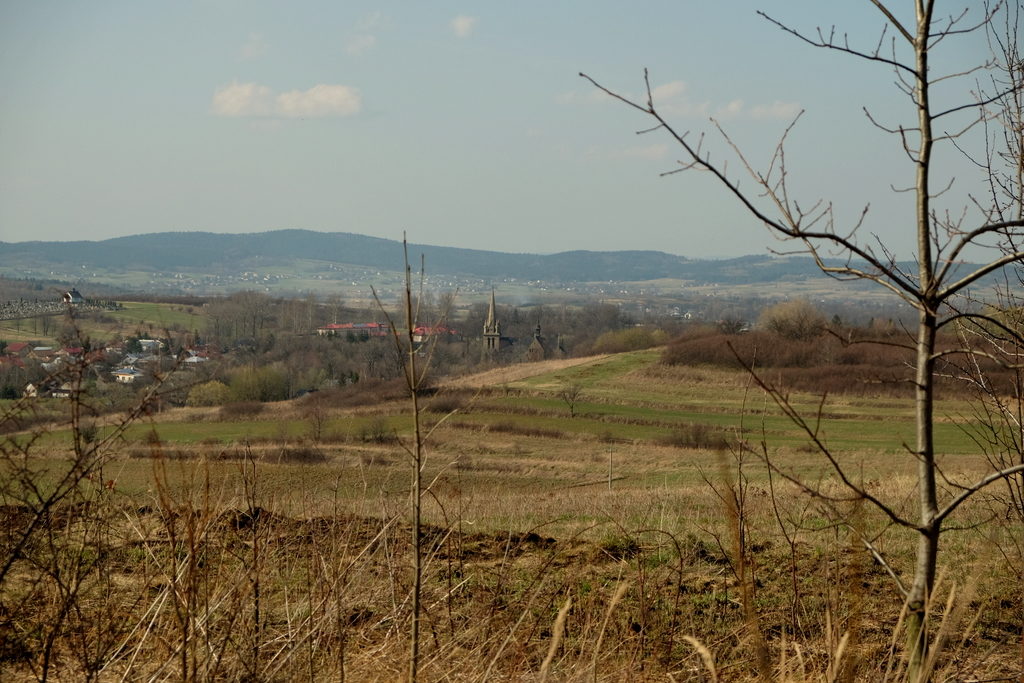 Wiok na Cieklin z drogi Folusz - Jasło.