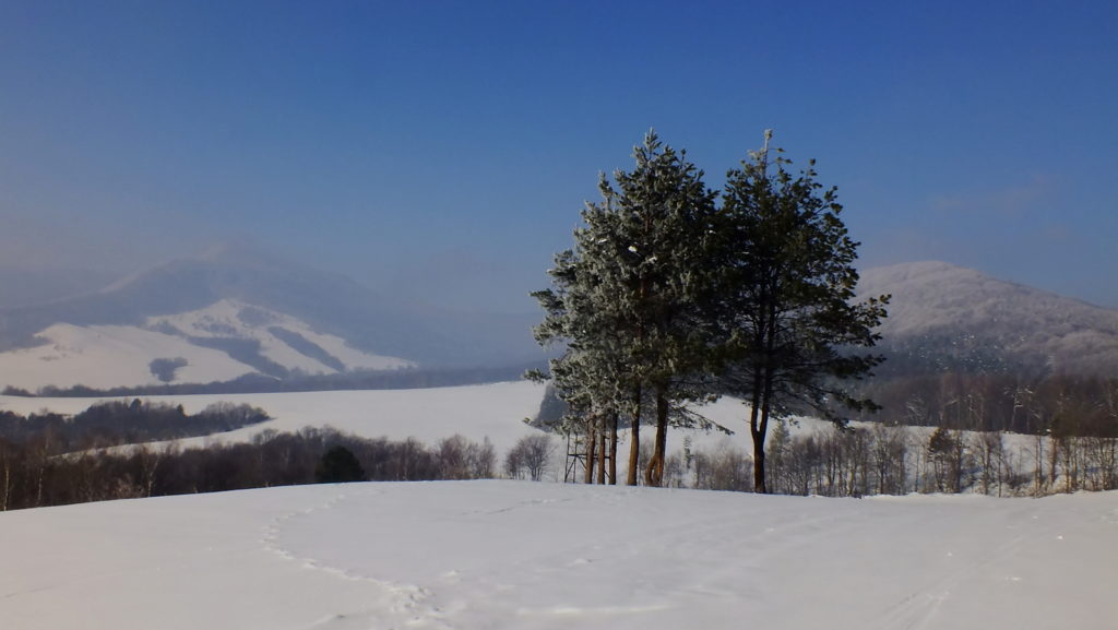 Obrazek posiada pusty atrybut alt; plik o nazwie DSCF2029-1024x577.jpg