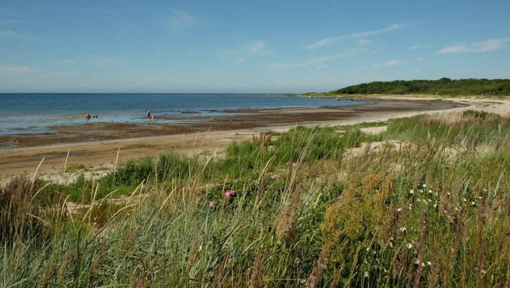 Prawie pusta plaża w północnych rejonach Torekov.