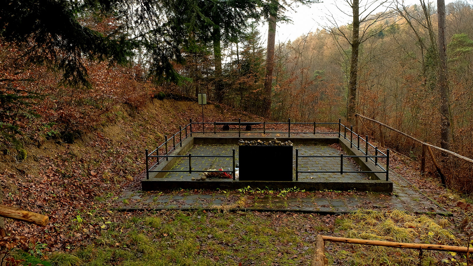 Widok na mogiłę zbiorową w krajowickim lesie.