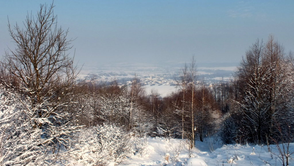 Widok na Żmigród Nowy ze szlaku nad przysiółkiem Podgóry.