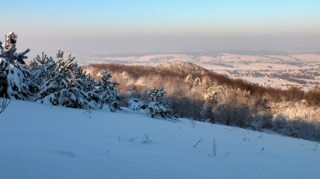 Szczyt góry Golesz (456 m n.p.m.) widok z zejścia z Grzywackiej
