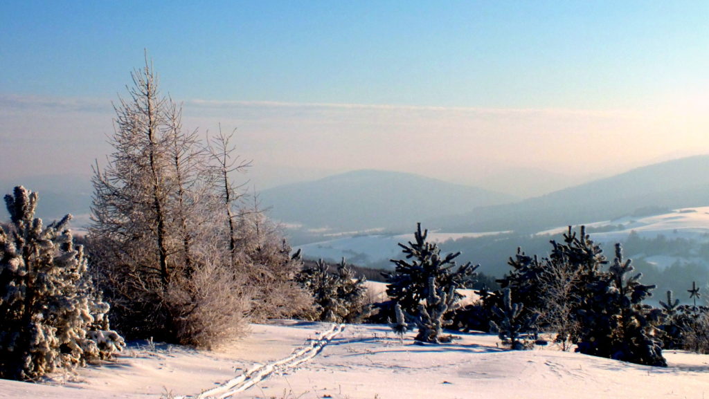 Suchania nad Myscową - widok z Grzywackiej.