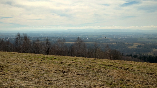 Widok z Działu na Doły Jasielsko-Sanockie, Pogórze Bukowskie i Beskid Niski w tle.