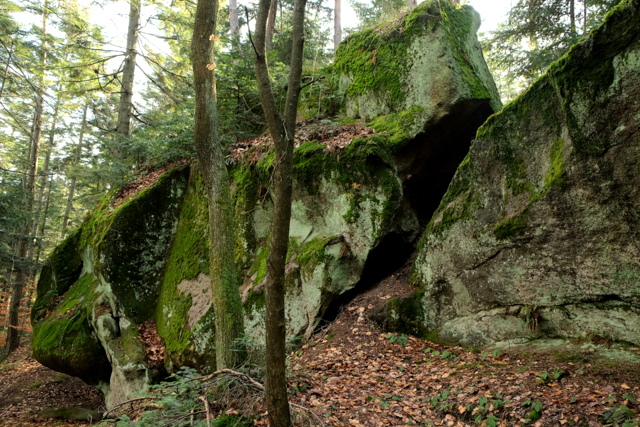 Zaginione Skałki. Grupa wychodni skalnych rozrzuconych w lesie na wierzchowinie na przestrzeni ok. 200 m.