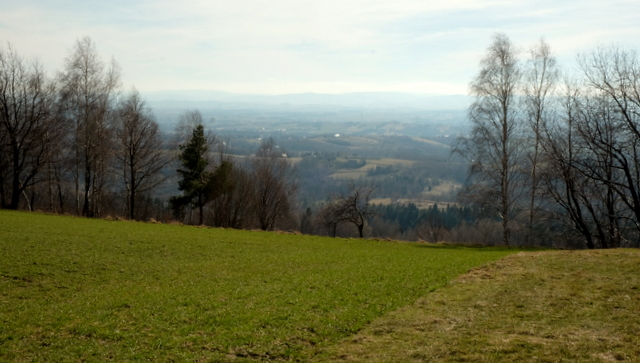 Widok na Kotlinę Jasielsko-Krośnieńską i Beskid Niski z Działu nad Kombornią.