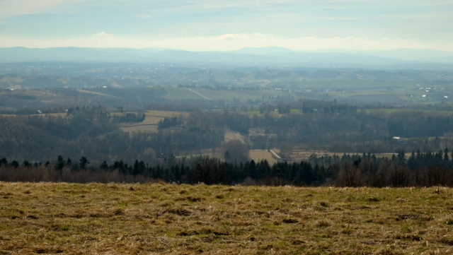 Kotlina Jasielsko-Krośnieńska i Beskid Niski z charakterystycznym wałem Cergowej w tle.