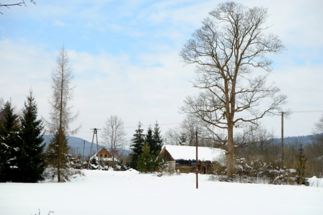 widok na Wołowiec.