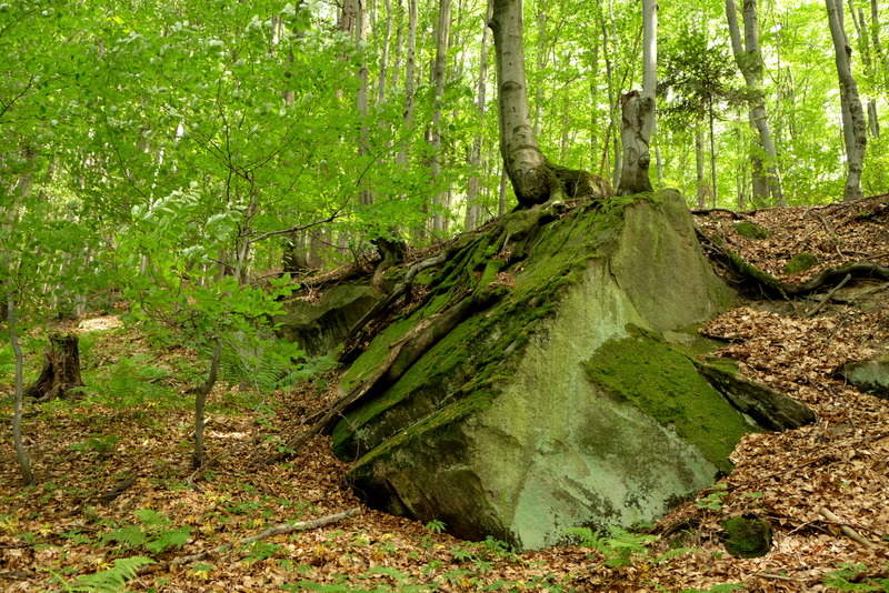 głaz na stoku zbocza