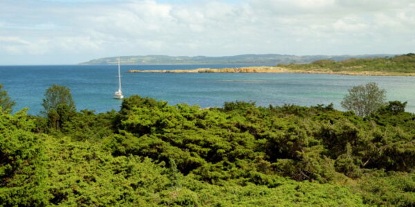 widok z wyspy na żaglówkę na morzu