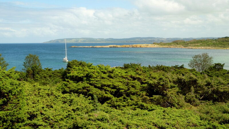 widok z wyspy na żaglówkę na morzu