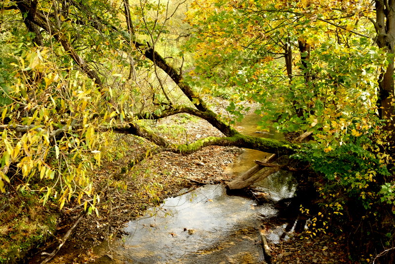 górska rzeka.