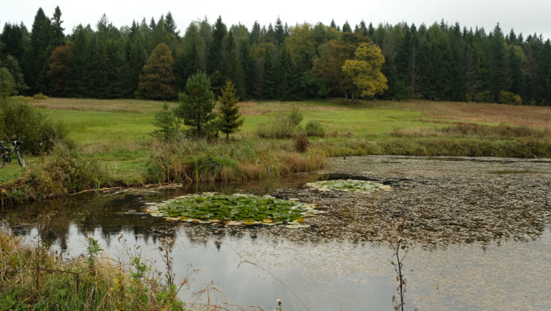 zbiornik wodny. Jasiel.