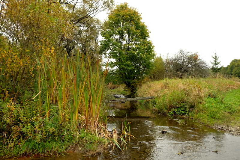 Kładka nad rzeką.