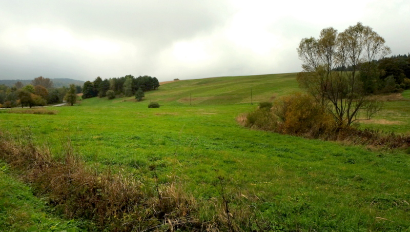 łąki nad Wolą Wyżną.