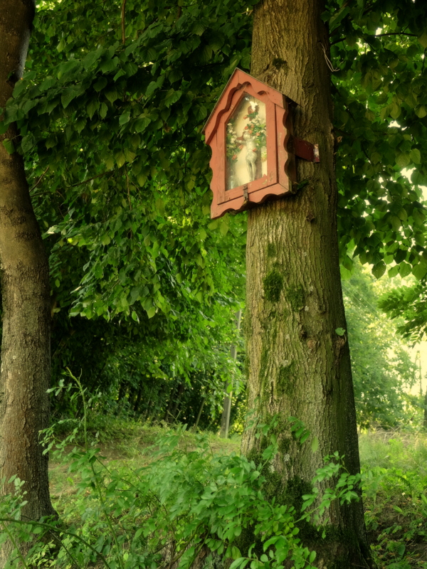kapliczka na drzewie