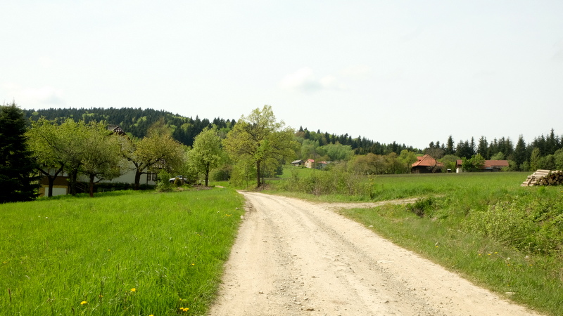 droga przez puste pole
