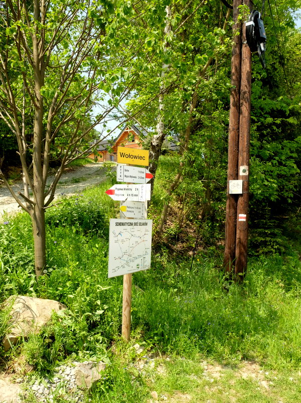 węzeł szlaków w Wołowcu.